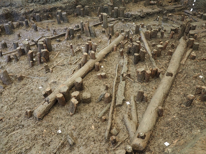 PALÙ DI LIVENZA, Visite guidate gratuite agli scavi archeologici | 18, 24 e 25 ottobre